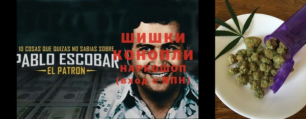 шишки Алексеевка