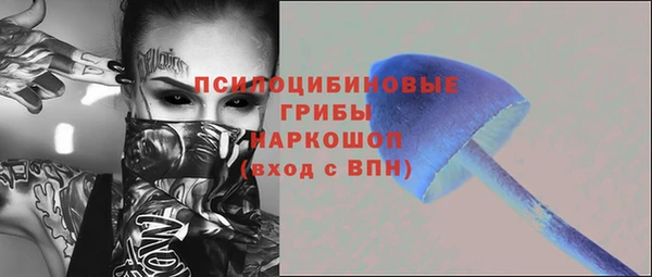 тгк Алзамай