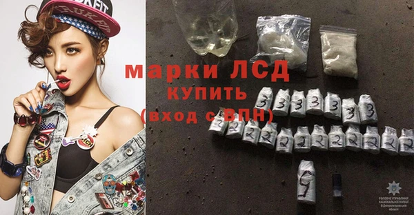 тгк Алзамай
