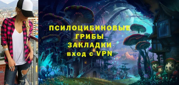 шишки Алексеевка