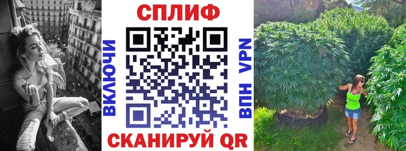 hydra ссылка  Невинномысск  Каннабис план 